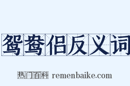 鸳鸯侣反义词是什么意思的图片